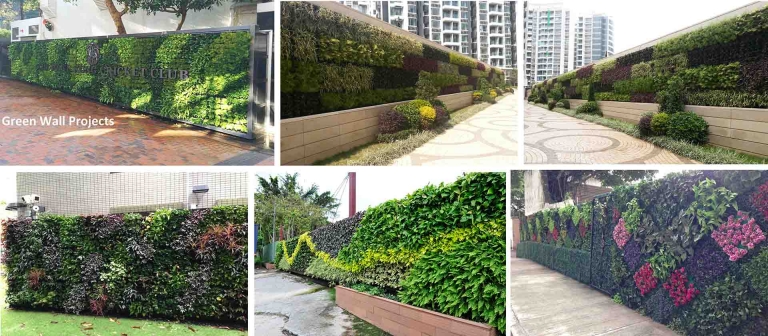 Green Wall System – Hong Da Landscaping Ltd